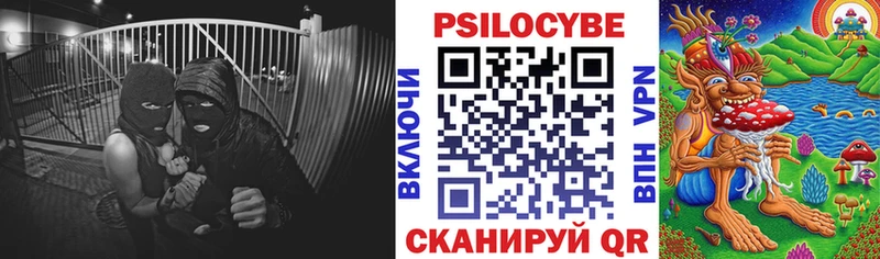 даркнет сайт  Болотное  Галлюциногенные грибы ЛСД 